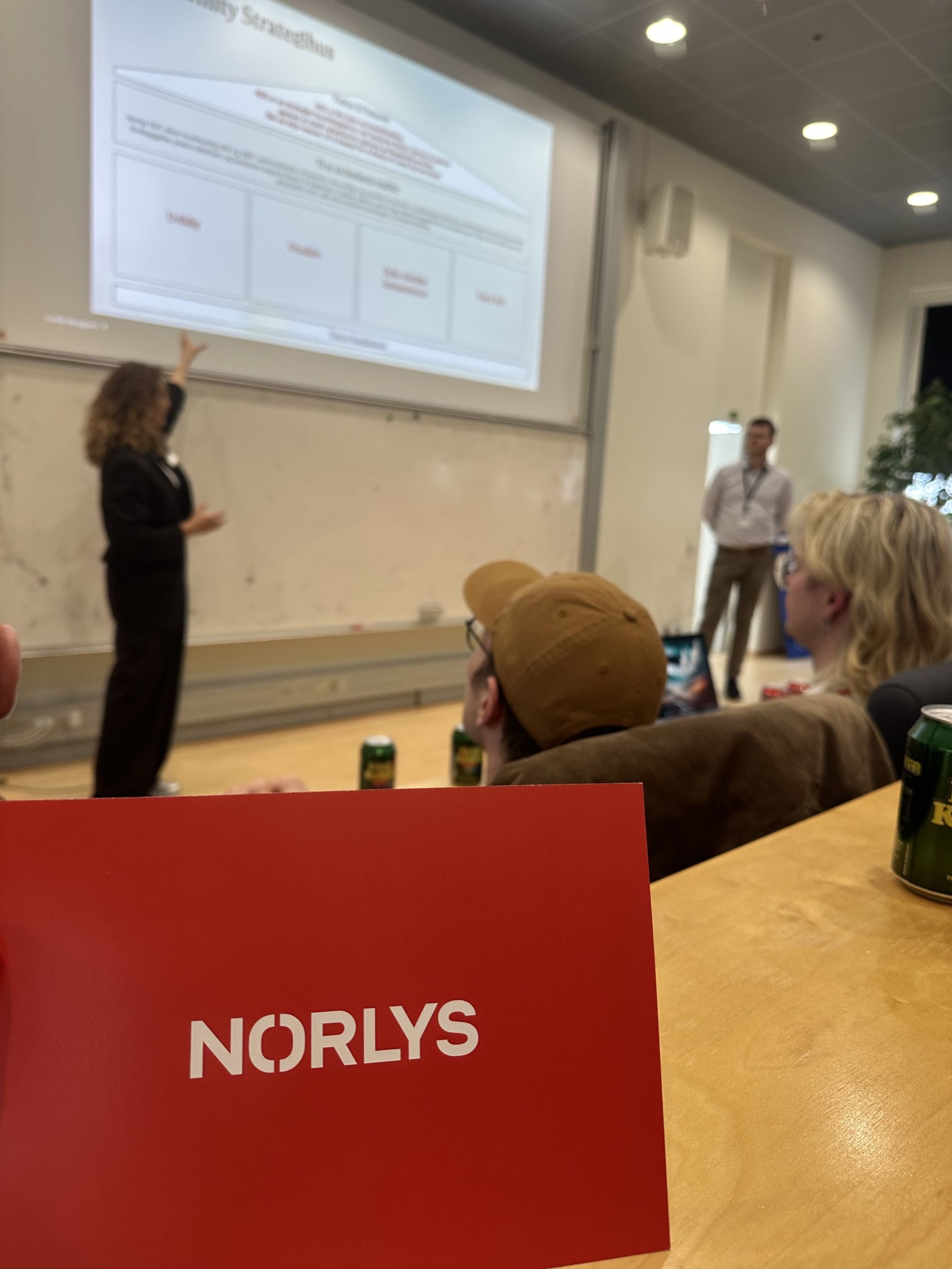 Norlys case cover