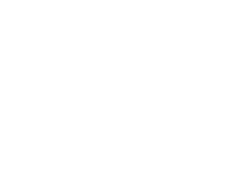 DanskIT